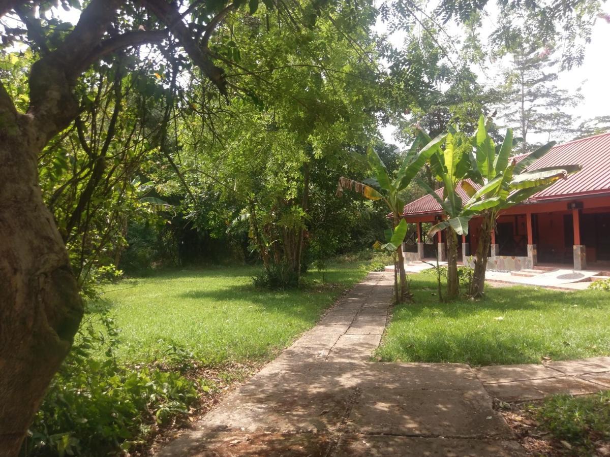 Big Foot Safari Lodge Wli Afegame Bagian luar foto