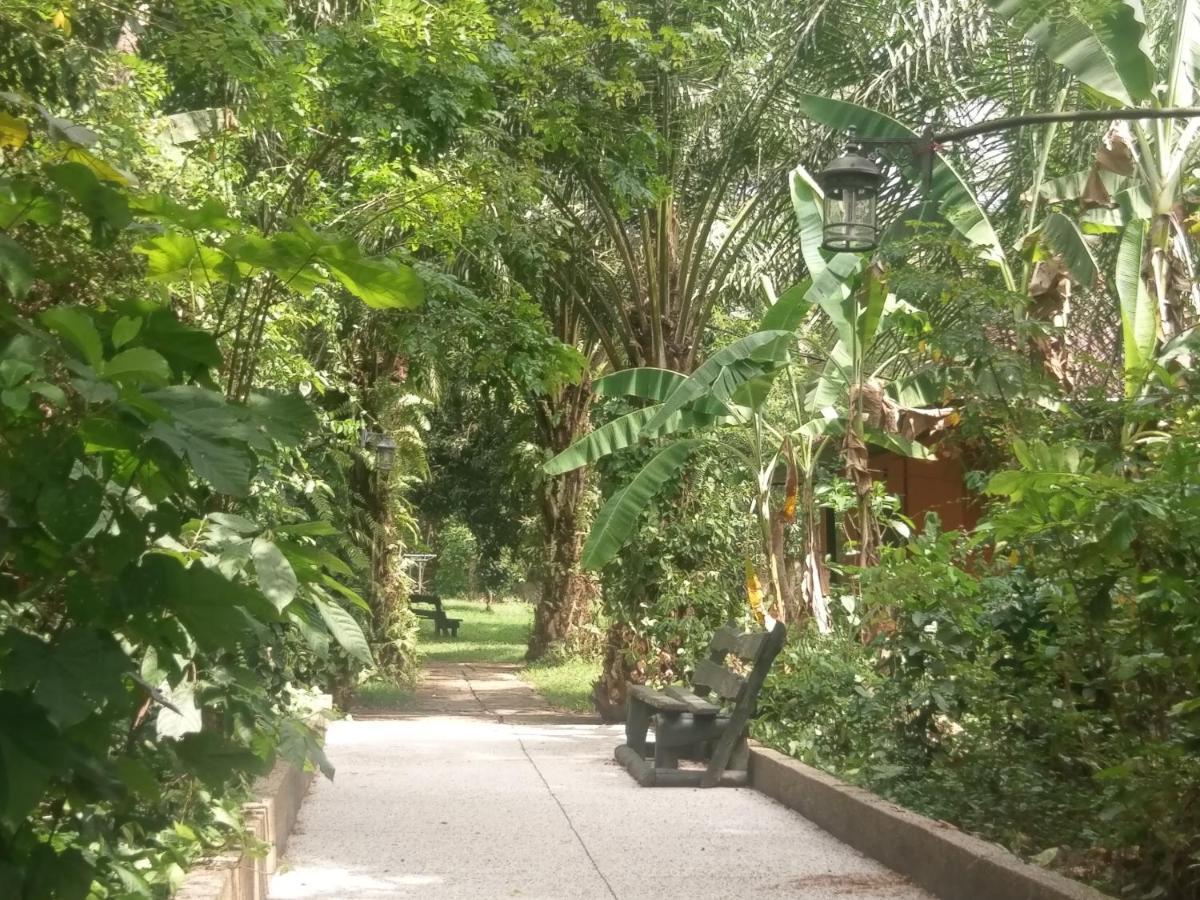 Big Foot Safari Lodge Wli Afegame Bagian luar foto