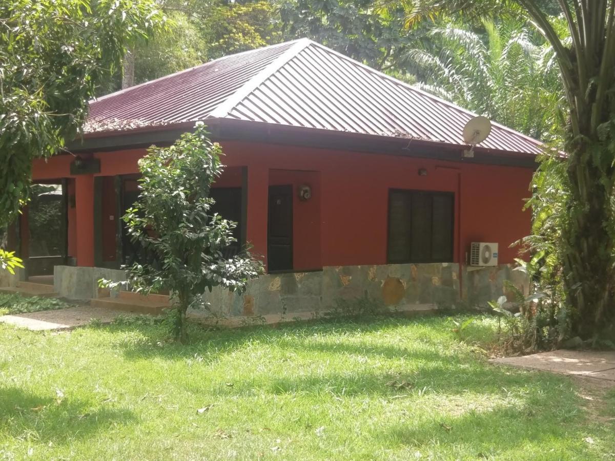 Big Foot Safari Lodge Wli Afegame Bagian luar foto