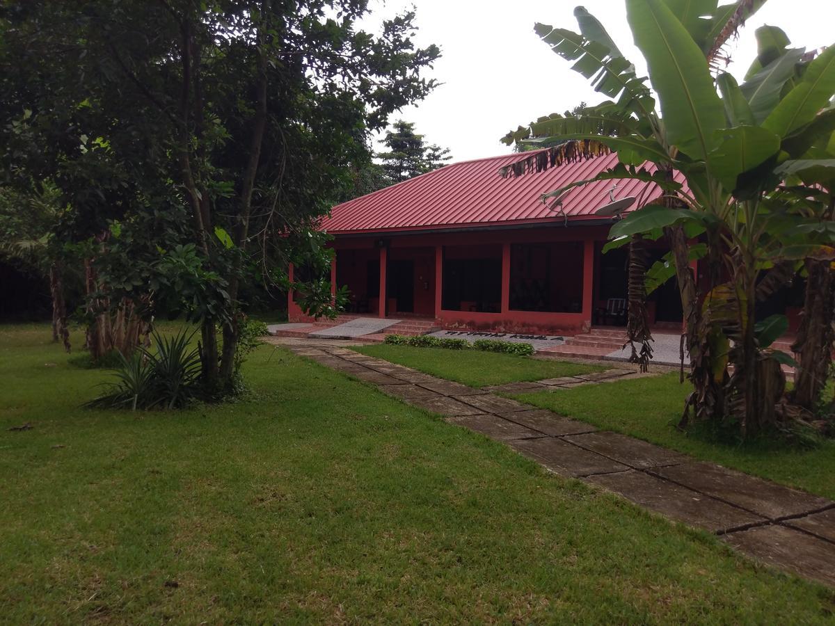 Big Foot Safari Lodge Wli Afegame Bagian luar foto